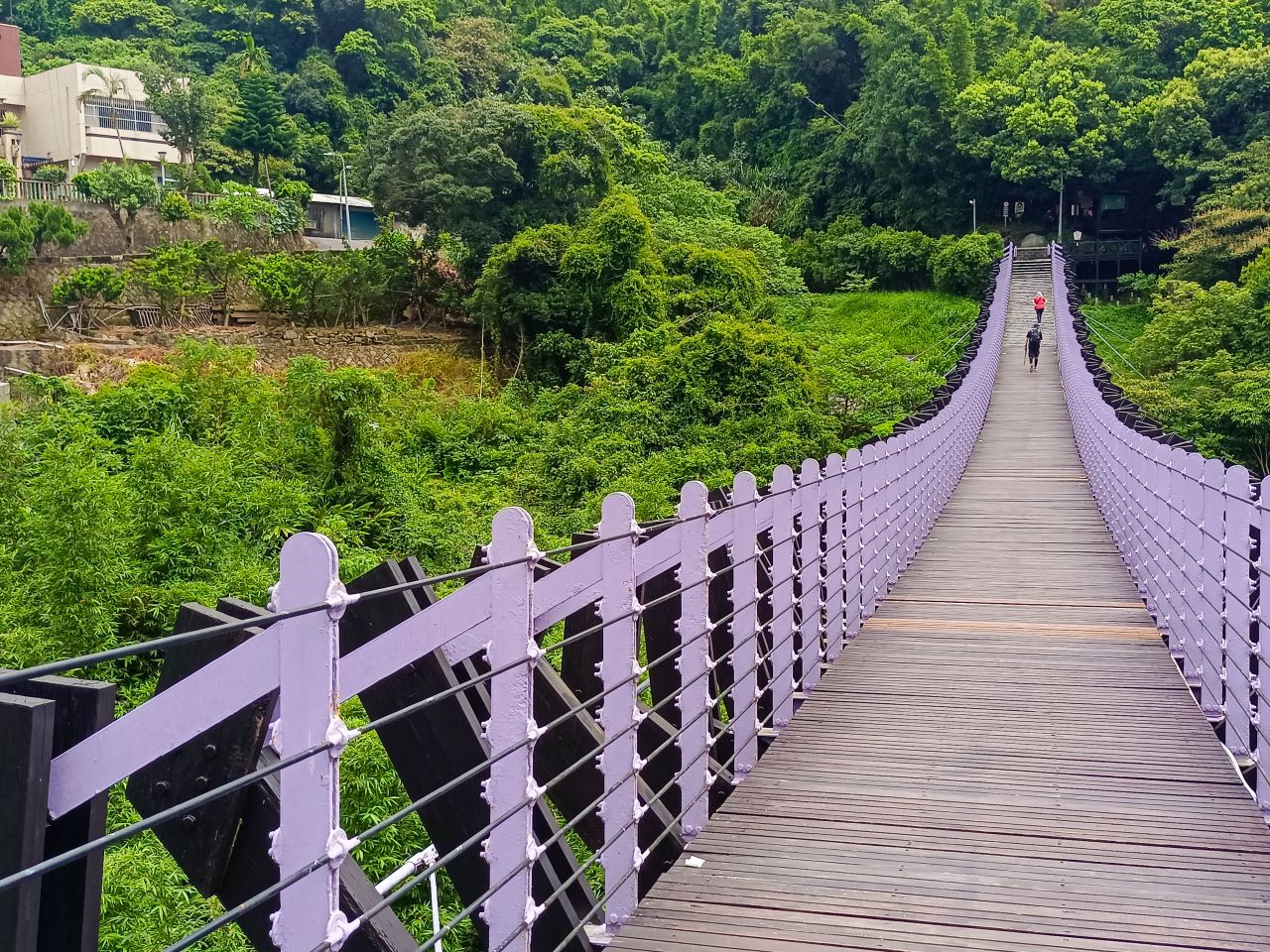 (內湖景點)內湖白石湖吊橋，碧山巖親子/情侶內湖半日遊，台北賞夜景的好去處，台北市區採草莓也在這邊~