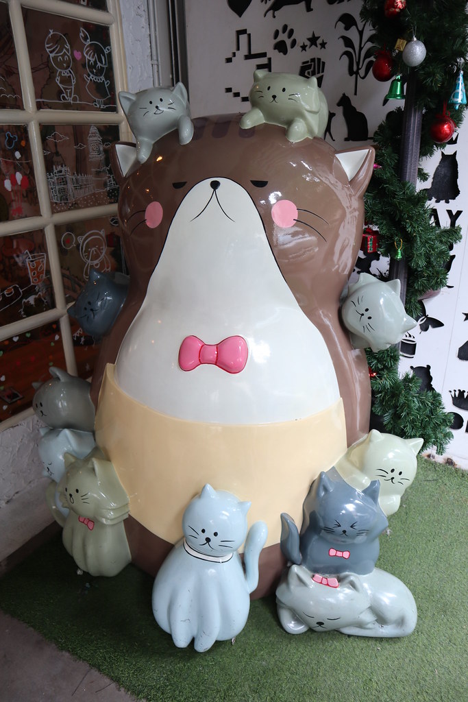 (泰國曼谷遊)Caturday cat cafe 貓咖啡廳泰國排行第一名的動物咖啡廳可愛的喵星人陪座檯吃飯-BTS Ratchathewi站(cocowalk商場) @Nancy將的生活筆計本