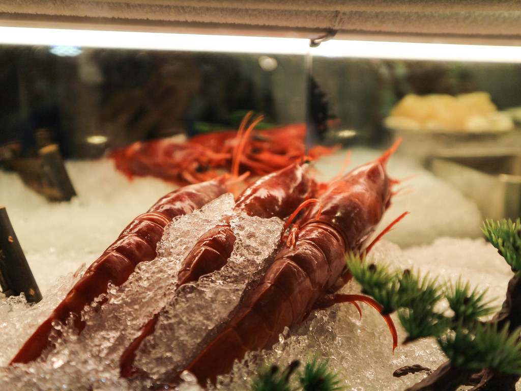 (新埔捷運站)幸福食堂二代目 鮭魚滿滿/近致理/新北板橋日式料理 @Nancy將的生活筆計本