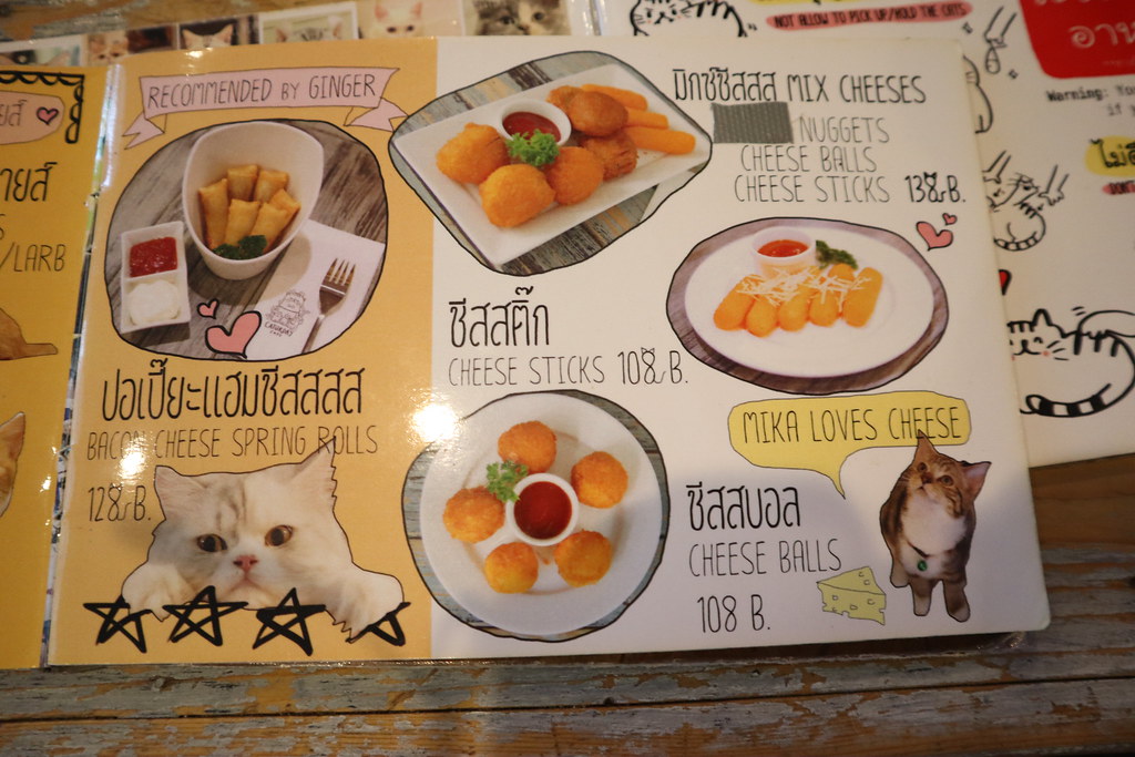 (泰國曼谷遊)Caturday cat cafe 貓咖啡廳泰國排行第一名的動物咖啡廳可愛的喵星人陪座檯吃飯-BTS Ratchathewi站(cocowalk商場) @Nancy將的生活筆計本