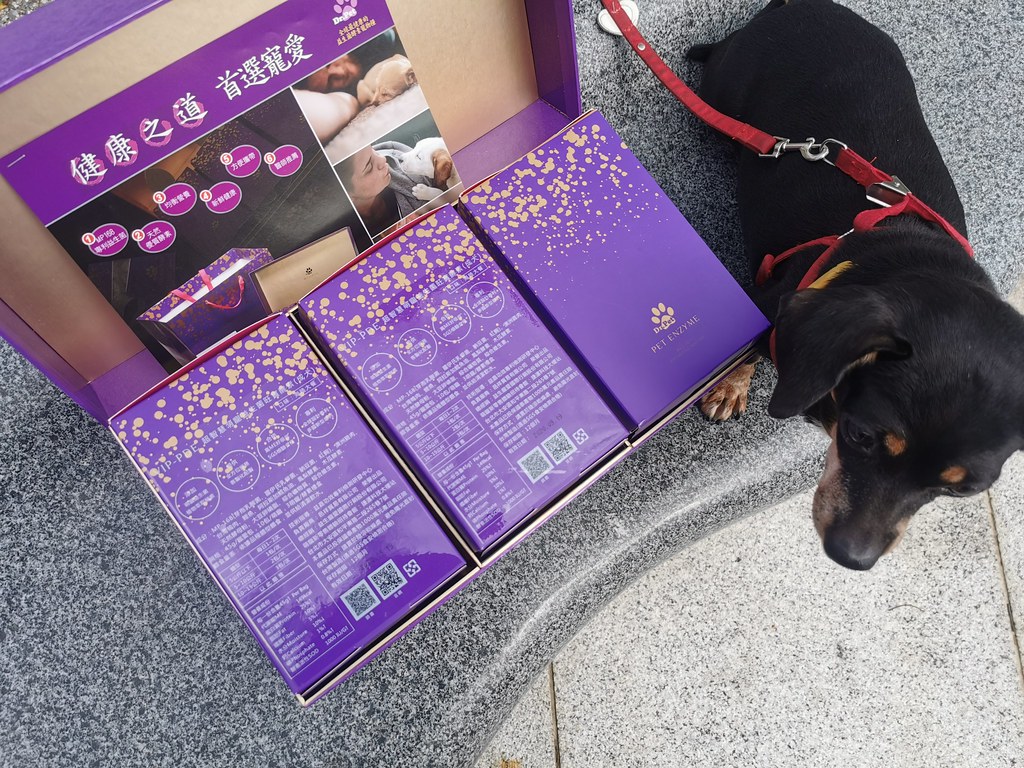 (寵物乾糧)台灣Dr.pet益生寵愛 VIP-PDE超智慧萌寵益生菌旺寶酵素(成犬)乾糧,益力康生技集團Dr.Pet研發頂級緞帶禮盒包裝,寵愛包裝方便攜帶餵食 @Nancy將的生活筆計本