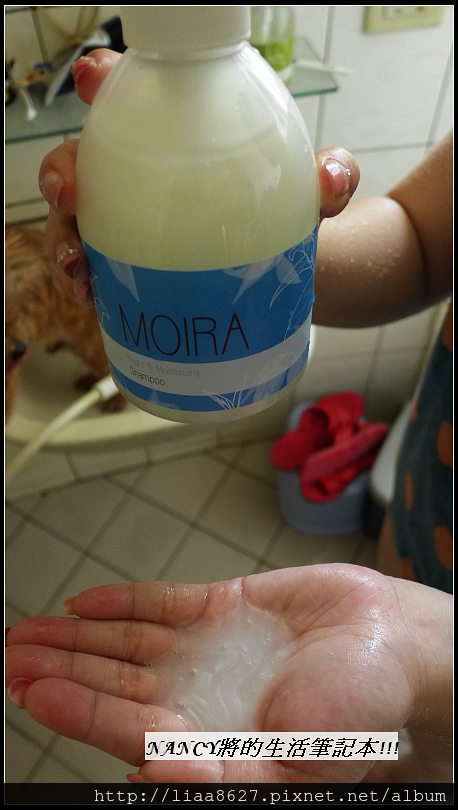 (試用)MOIRA 莫伊拉沙龍級系列洗毛乳讓寶少爺的毛髮輕飄飄又柔順順! @Nancy將的生活筆計本